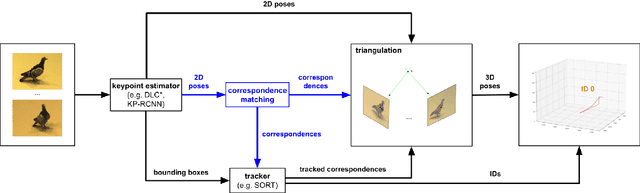 Figure 3 for 3D-MuPPET: 3D Multi-Pigeon Pose Estimation and Tracking