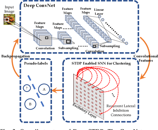 Figure 2 for Deep Unsupervised Learning Using Spike-Timing-Dependent Plasticity