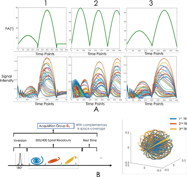 Figure 2 for Sequence adaptive field-imperfection estimation (SAFE): retrospective estimation and correction of $B_1^+$ and $B_0$ inhomogeneities for enhanced MRF quantification