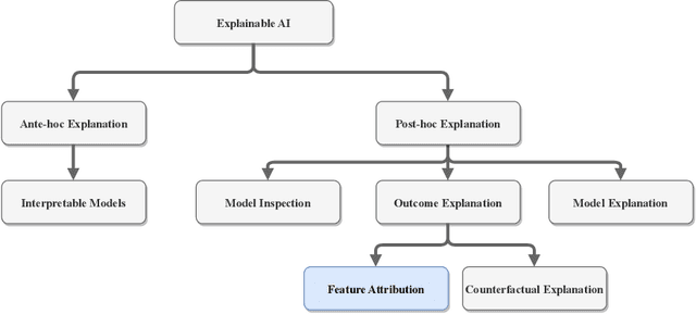 Figure 1 for Gradient based Feature Attribution in Explainable AI: A Technical Review