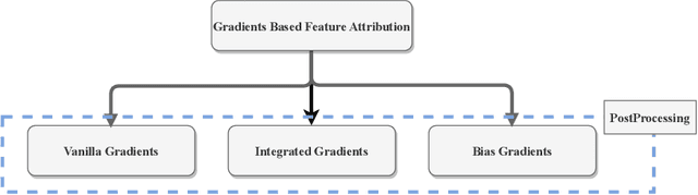 Figure 3 for Gradient based Feature Attribution in Explainable AI: A Technical Review