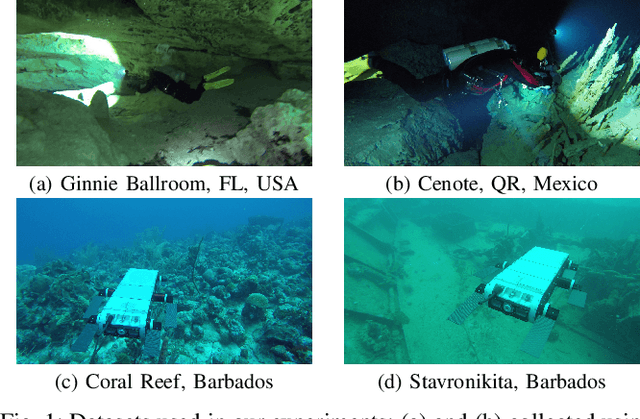 Figure 1 for Real-Time Dense 3D Mapping of Underwater Environments