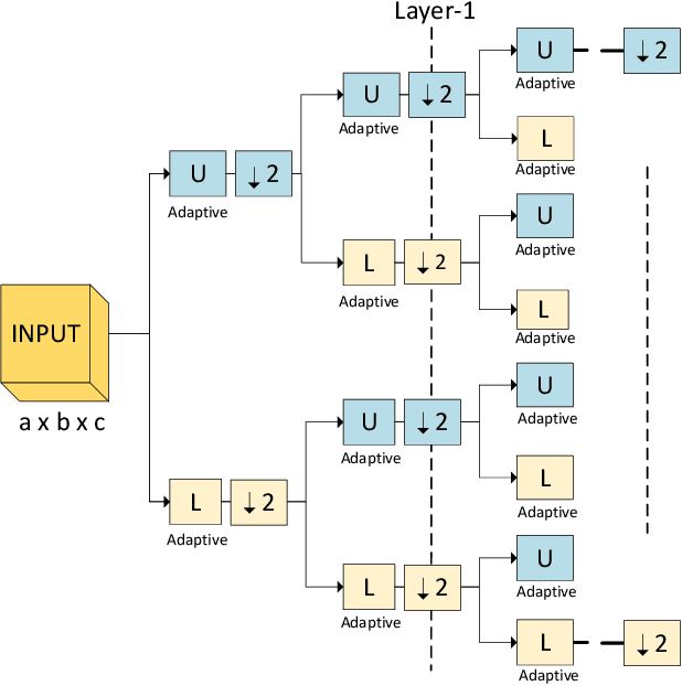 Figure 1 for A Structurally Regularized CNN Architecture via Adaptive Subband Decomposition