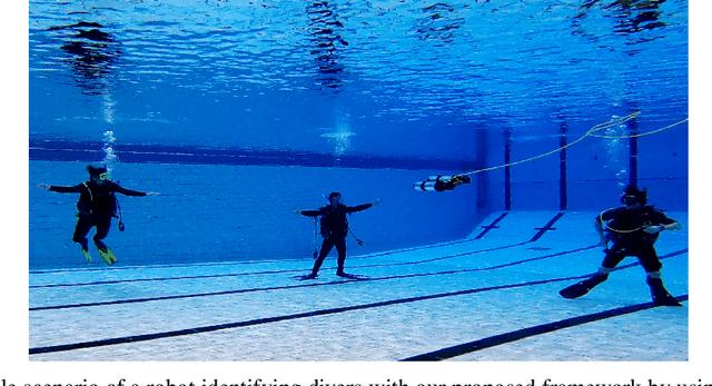Figure 1 for Diver Identification Using Anthropometric Data Ratios for Underwater Multi-Human-Robot Collaboration