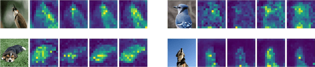 Figure 3 for Good helper is around you: Attention-driven Masked Image Modeling