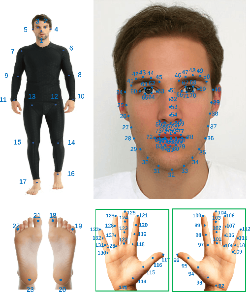 Figure 3 for H3WB: Human3.6M 3D WholeBody Dataset and Benchmark