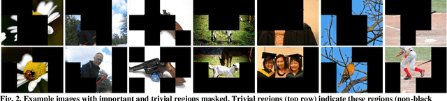 Figure 1 for Half of an image is enough for quality assessment