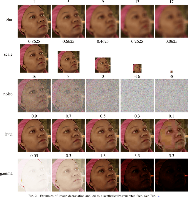Figure 2 for An Evaluation of Forensic Facial Recognition