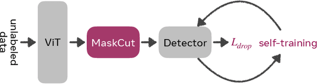 Figure 2 for Cut and Learn for Unsupervised Object Detection and Instance Segmentation