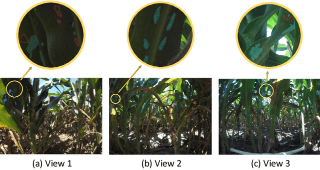 Figure 1 for A New Dataset and Comparative Study for Aphid Cluster Detection