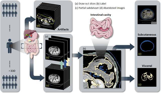 Figure 2 for AATCT-IDS: A Benchmark Abdominal Adipose Tissue CT Image Dataset for Image Denoising, Semantic Segmentation, and Radiomics Evaluation