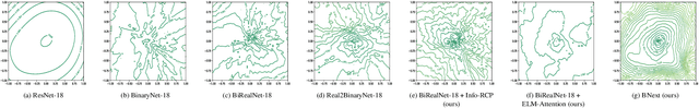 Figure 3 for Join the High Accuracy Club on ImageNet with A Binary Neural Network Ticket