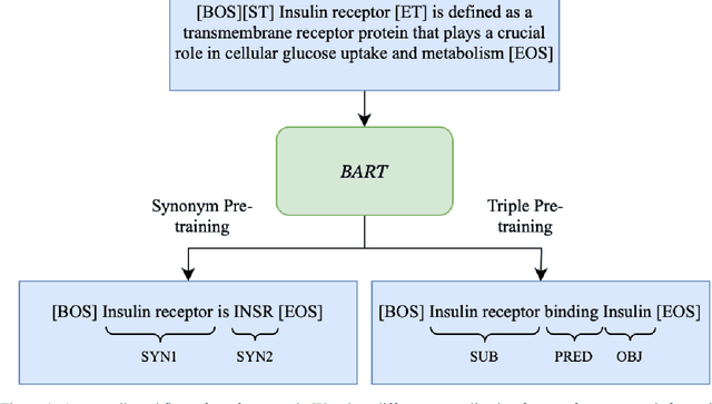 Figure 1 for Biomedical Entity Linking with Triple-aware Pre-Training