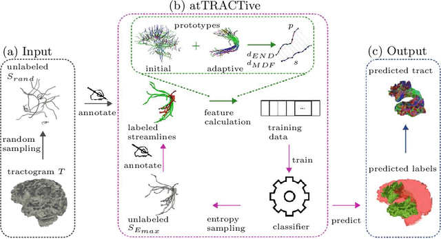 Figure 3 for atTRACTive: Semi-automatic white matter tract segmentation using active learning