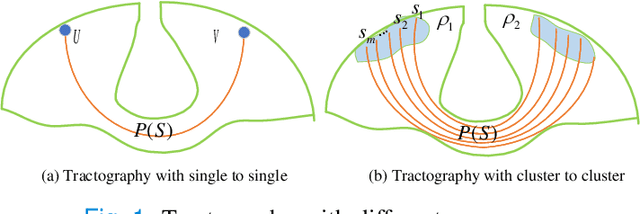 Figure 1 for Bundle-specific Tractogram Distribution Estimation Using Higher-order Streamline Differential Equation