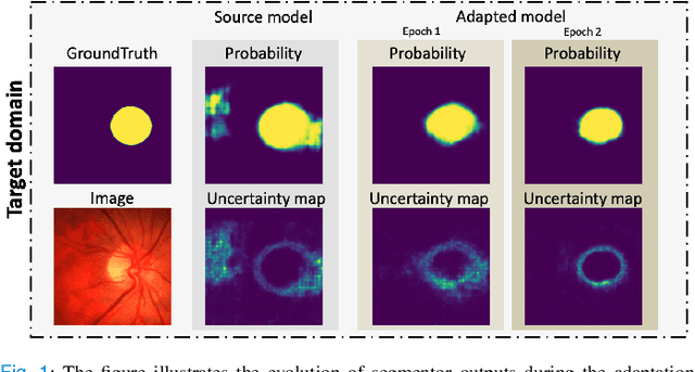Figure 1 for A Chebyshev Confidence Guided Source-Free Domain Adaptation Framework for Medical Image Segmentation