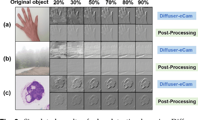 Figure 2 for Temporal compressive edge imaging enabled by a lensless diffuser camera