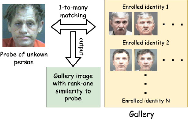 Figure 1 for Demographic Disparities in 1-to-Many Facial Identification