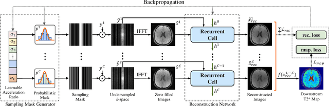 Figure 3 for JoJoNet: Joint-contrast and Joint-sampling-and-reconstruction Network for Multi-contrast MRI