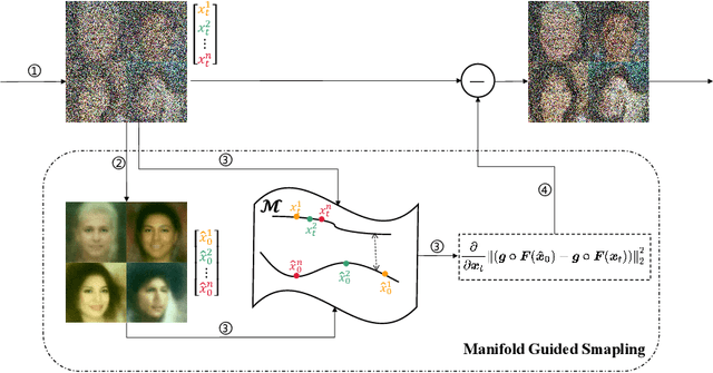 Figure 3 for Manifold-Guided Sampling in Diffusion Models for Unbiased Image Generation