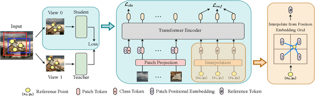 Figure 3 for DenseDINO: Boosting Dense Self-Supervised Learning with Token-Based Point-Level Consistency