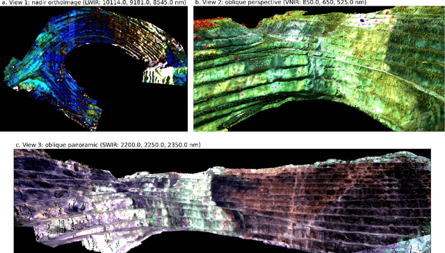 Figure 4 for Tinto: Multisensor Benchmark for 3D Hyperspectral Point Cloud Segmentation in the Geosciences