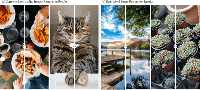 Figure 1 for CasSR: Activating Image Power for Real-World Image Super-Resolution