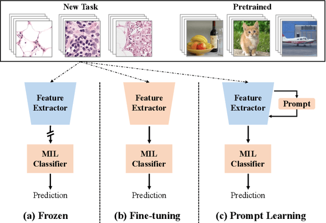 Figure 1 for Exploring Visual Prompts for Whole Slide Image Classification with Multiple Instance Learning