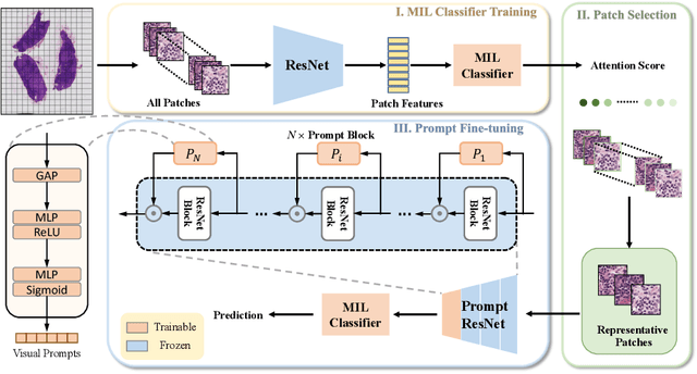 Figure 3 for Exploring Visual Prompts for Whole Slide Image Classification with Multiple Instance Learning
