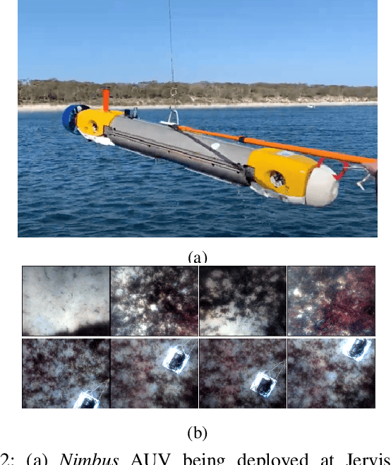 Figure 2 for A Semi-supervised Object Detection Algorithm for Underwater Imagery