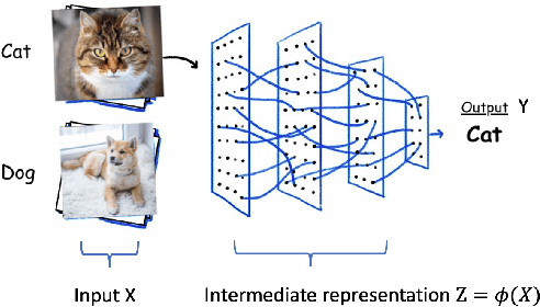 Figure 1 for How Does Information Bottleneck Help Deep Learning?