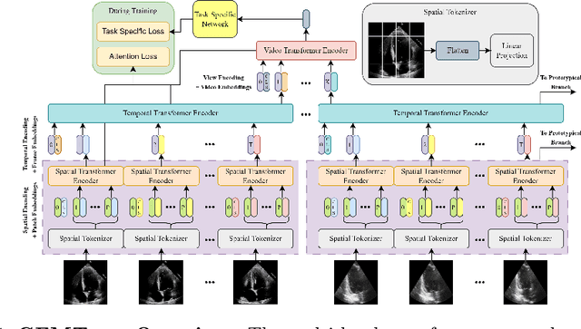 Figure 1 for GEMTrans: A General, Echocardiography-based, Multi-Level Transformer Framework for Cardiovascular Diagnosis
