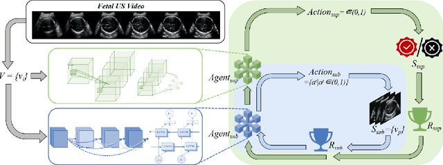 Figure 1 for Hierarchical Agent-based Reinforcement Learning Framework for Automated Quality Assessment of Fetal Ultrasound Video