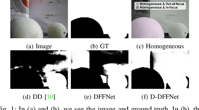 Figure 1 for Depth and DOF Cues Make A Better Defocus Blur Detector