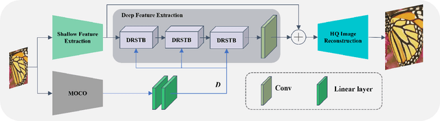 Figure 3 for Degradation-Aware Self-Attention Based Transformer for Blind Image Super-Resolution