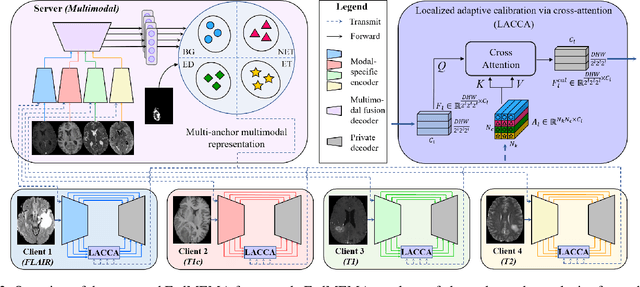 Figure 3 for Federated Modality-specific Encoders and Multimodal Anchors for Personalized Brain Tumor Segmentation