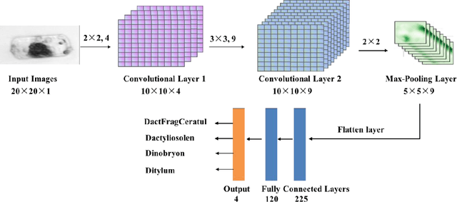 Figure 1 for Hybrid quantum-classical convolutional neural network for phytoplankton classification