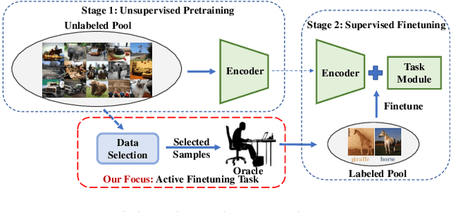 Figure 1 for Active Finetuning: Exploiting Annotation Budget in the Pretraining-Finetuning Paradigm