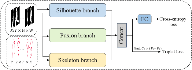 Figure 1 for TriGait: Aligning and Fusing Skeleton and Silhouette Gait Data via a Tri-Branch Network