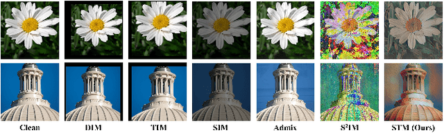 Figure 1 for Improving the Transferability of Adversarial Examples with Arbitrary Style Transfer