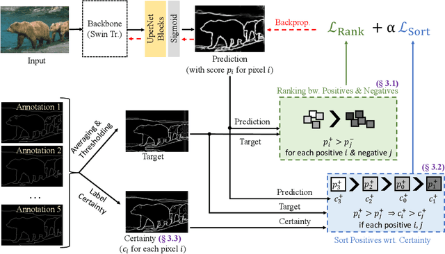 Figure 3 for RankED: Addressing Imbalance and Uncertainty in Edge Detection Using Ranking-based Losses