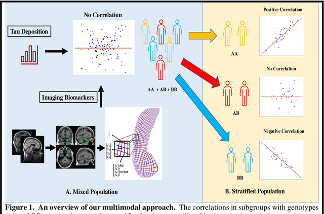 Figure 1 for A Surface-Based Federated Chow Test Model for Integrating APOE Status, Tau Deposition Measure, and Hippocampal Surface Morphometry