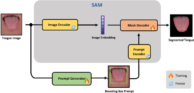 Figure 1 for TongueSAM: An Universal Tongue Segmentation Model Based on SAM with Zero-Shot