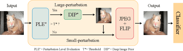 Figure 3 for Adversarial Example Defense via Perturbation Grading Strategy