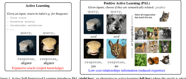 Figure 1 for Active Self-Supervised Learning: A Few Low-Cost Relationships Are All You Need
