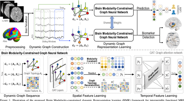 Figure 1 for Leveraging Brain Modularity Prior for Interpretable Representation Learning of fMRI