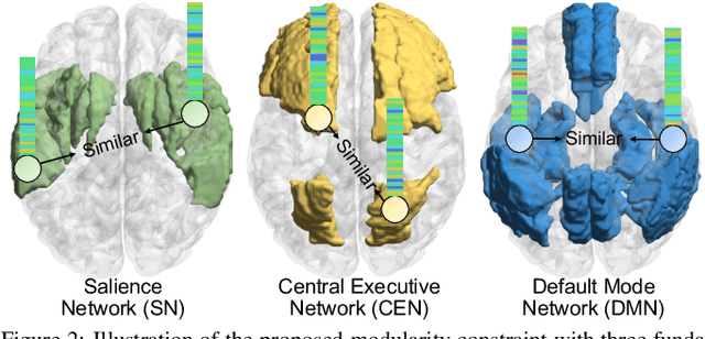 Figure 3 for Leveraging Brain Modularity Prior for Interpretable Representation Learning of fMRI