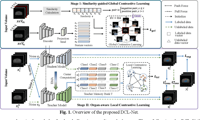 Figure 1 for Dcl-Net: Dual Contrastive Learning Network for Semi-Supervised Multi-Organ Segmentation