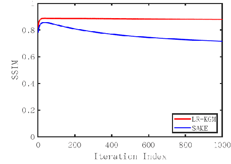 Figure 4 for Low-rank Tensor Assisted K-space Generative Model for Parallel Imaging Reconstruction