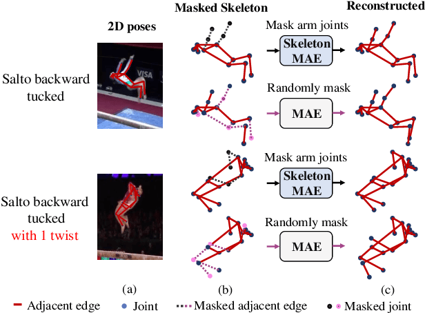 Figure 1 for SkeletonMAE: Graph-based Masked Autoencoder for Skeleton Sequence Pre-training
